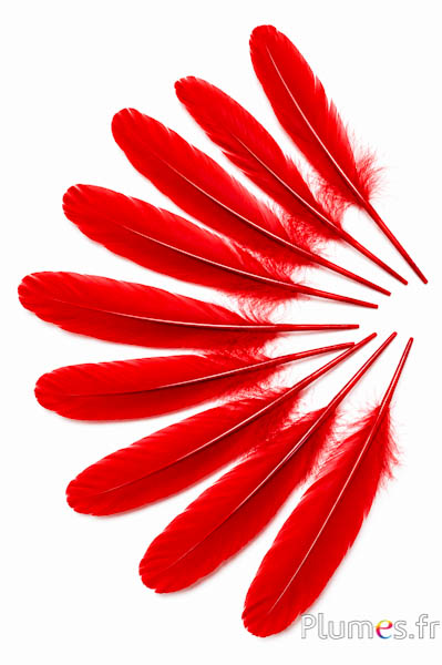 Oie - 15-21 cm - rouge
